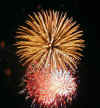 YellowTopMedium.jpg (79171 bytes)