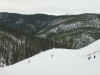 Landscape5_Medium.JPG (68309 bytes)